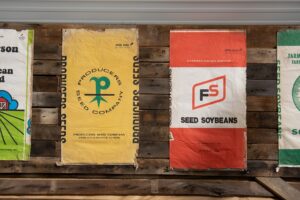 Photo Seed packets