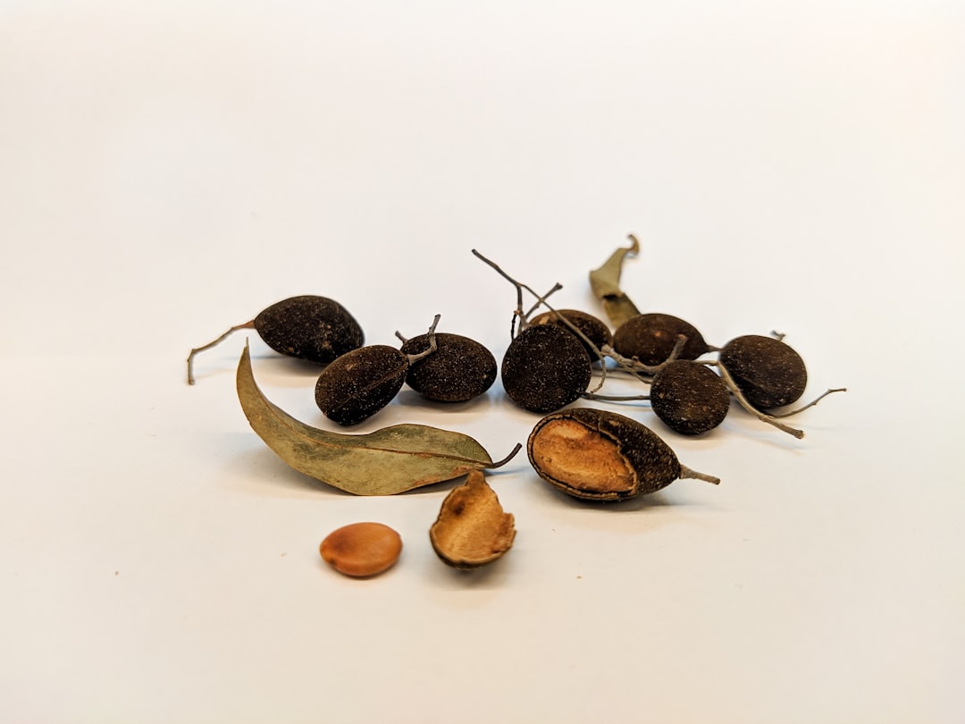 Photo Seed selection
